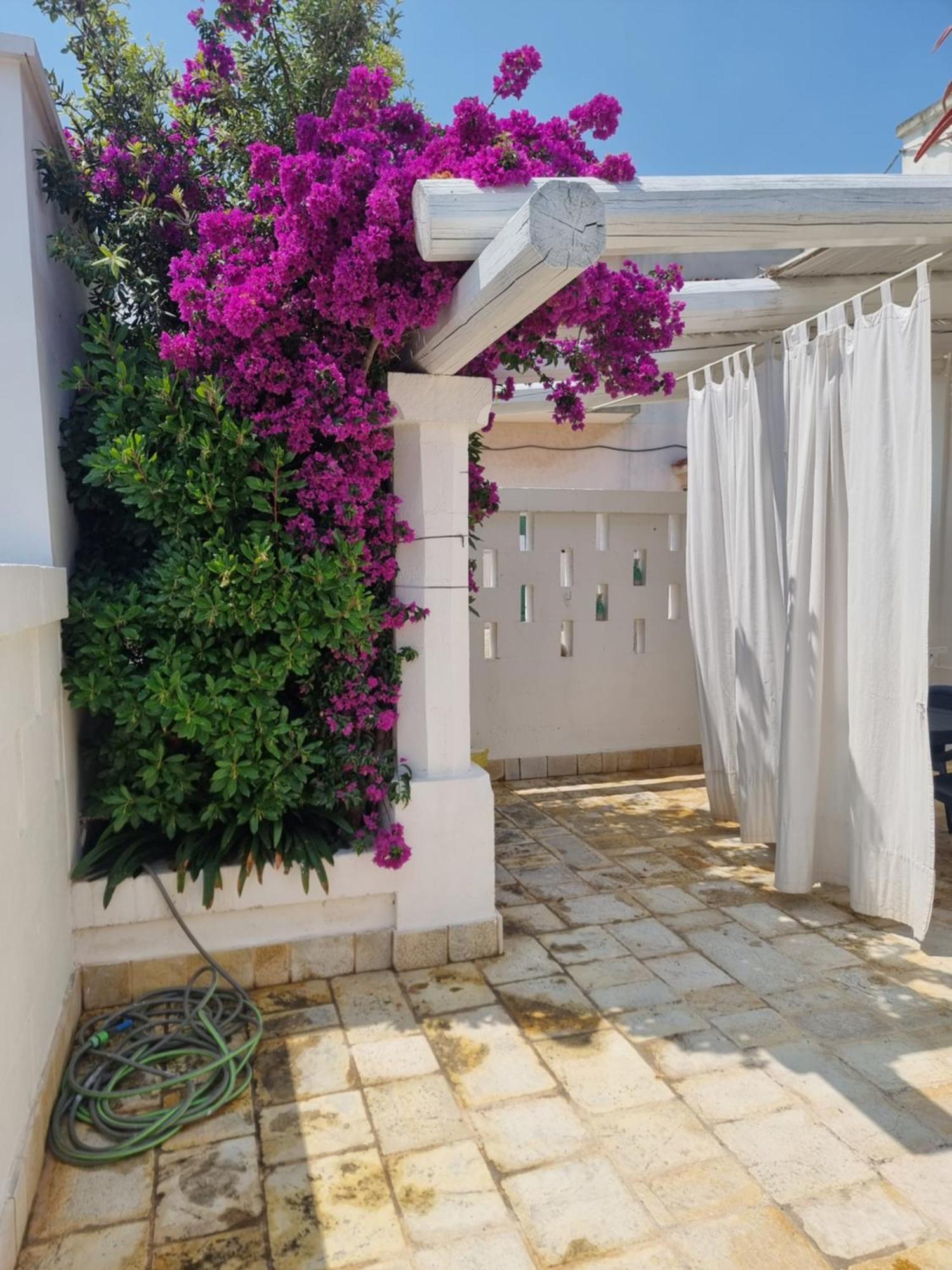 Villini Di Sant'Andreas Διαμέρισμα Monopoli Εξωτερικό φωτογραφία